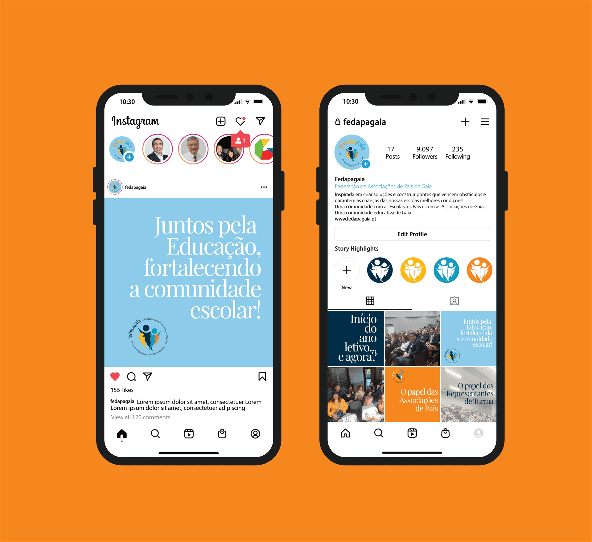 Fedapagaia - Image 4